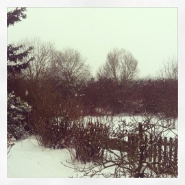 Tristesse vor der Haustür