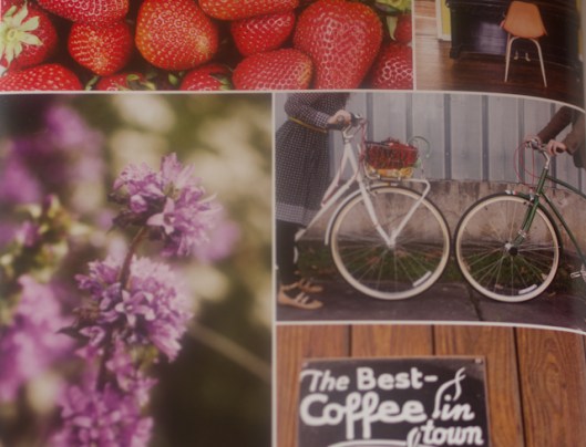 Lieblingsbücher 2013 (1 von 1)-2